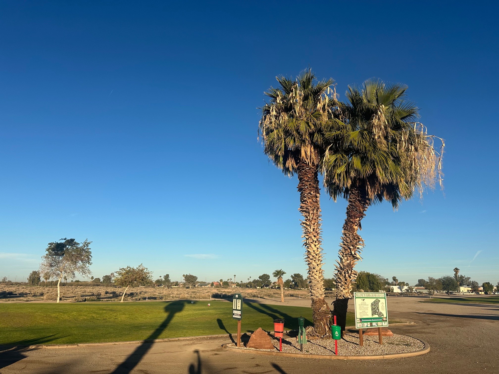 Image of golf ball on tee on grass.